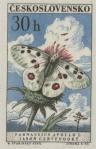1961, 27 Novembre, Apollo Butterfly [Parnassius apollo L.]