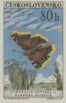 1961, 27 Novembre, Mourning Cloak Butterfly [Nymphalis antiopa L.]