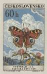 1961, 27 Novembre, Peacock Butterfly [Nymphalis jo L.]